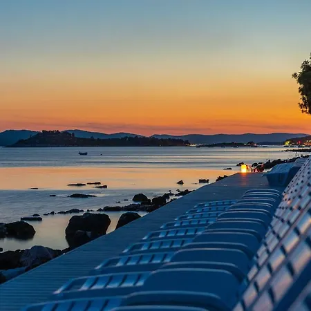 Mobile Pecten Exclusive 2 Пакоштане