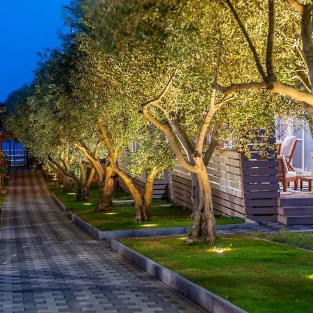 Mobile Pecten Exclusive 2 * Пакоштане